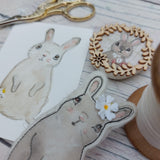 Rabbit trio gift box