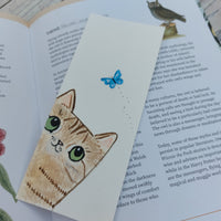 Tabby cat gift set