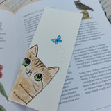 Tabby cat gift set