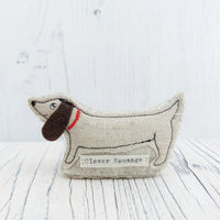 Clever Sausage, cute dachshund minature, celebration sausage dog