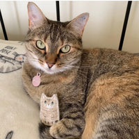 Miniature custom cat