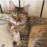 Miniature custom cat