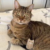 Miniature custom cat