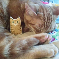 Miniature custom cat